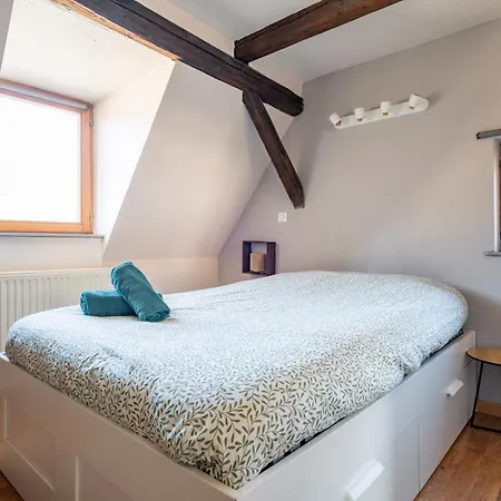 Duplex Spacieux Et Moderne Au Coeur De L Alsace Homestay *