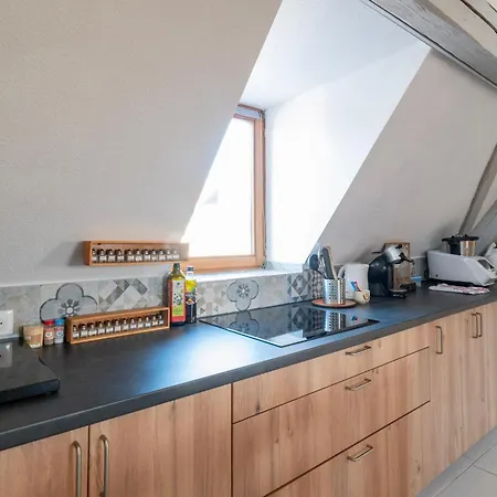 Duplex Spacieux Et Moderne Au Coeur De L Alsace Homestay Erstein
