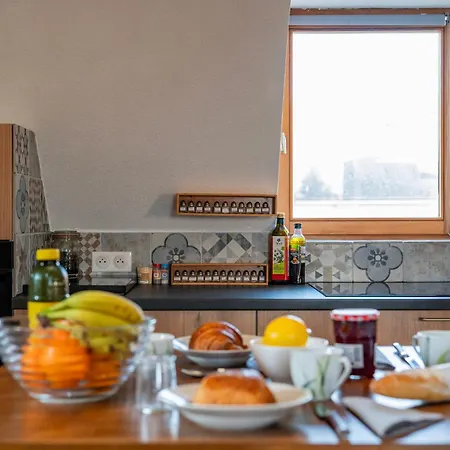 Duplex Spacieux Et Moderne Au Coeur De L Alsace Homestay *