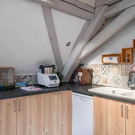 Duplex Spacieux Et Moderne Au Coeur De L Alsace