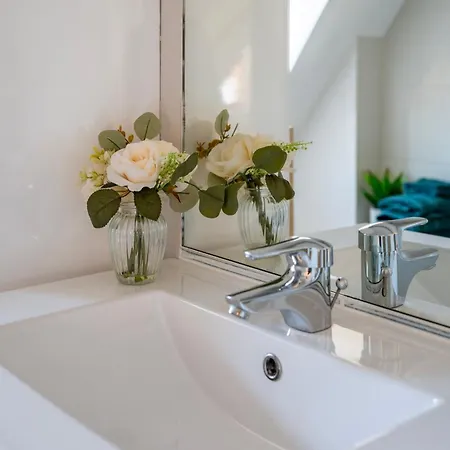Homestay Duplex Spacieux Et Moderne Au Coeur De L Alsace *