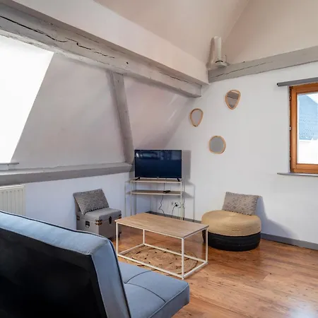 Duplex Spacieux Et Moderne Au Coeur De L Alsace *