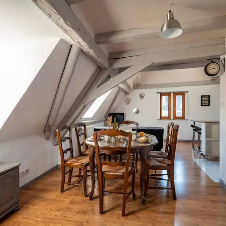 Duplex Spacieux Et Moderne Au Coeur De L Alsace * Erstein