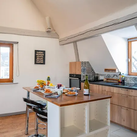 Duplex Spacieux Et Moderne Au Coeur De L Alsace