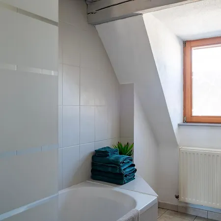 Homestay Duplex Spacieux Et Moderne Au Coeur De L Alsace