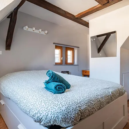Homestay Duplex Spacieux Et Moderne Au Coeur De L Alsace *