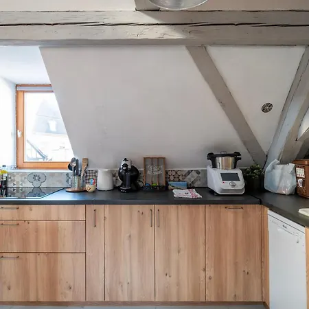 Homestay Duplex Spacieux Et Moderne Au Coeur De L Alsace Erstein