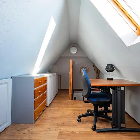 Duplex Spacieux Et Moderne Au Coeur De L Alsace * Erstein