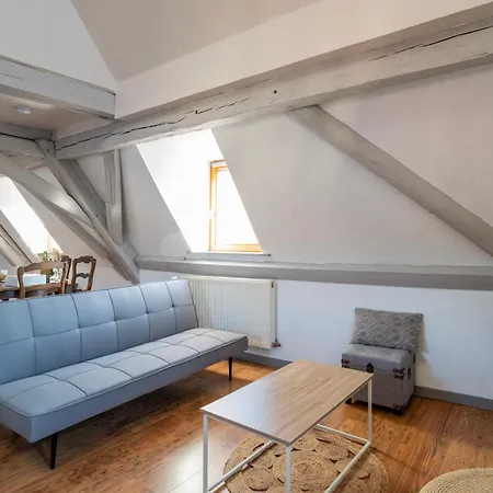 Duplex Spacieux Et Moderne Au Coeur De L Alsace