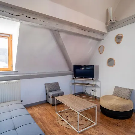Duplex Spacieux Et Moderne Au Coeur De L Alsace Homestay
