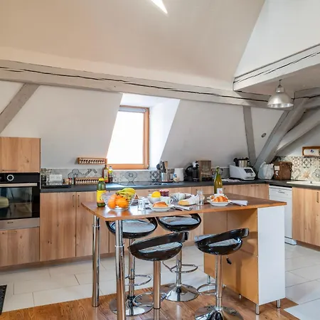 Homestay Duplex Spacieux Et Moderne Au Coeur De L Alsace *
