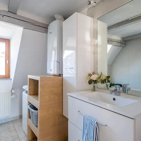 Duplex Spacieux Et Moderne Au Coeur De L Alsace Erstein