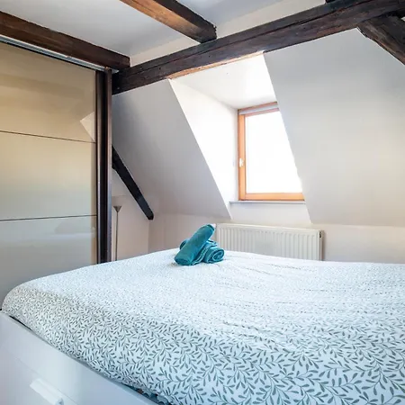 Duplex Spacieux Et Moderne Au Coeur De L Alsace Homestay