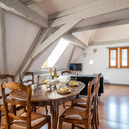 Homestay Duplex Spacieux Et Moderne Au Coeur De L Alsace *